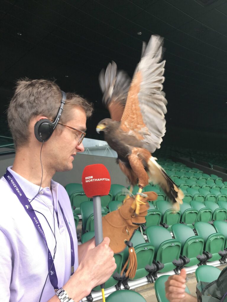 Falco Rufus Wimbledon