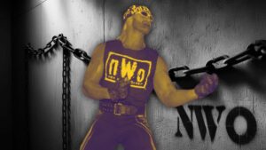 nWo - Puntero